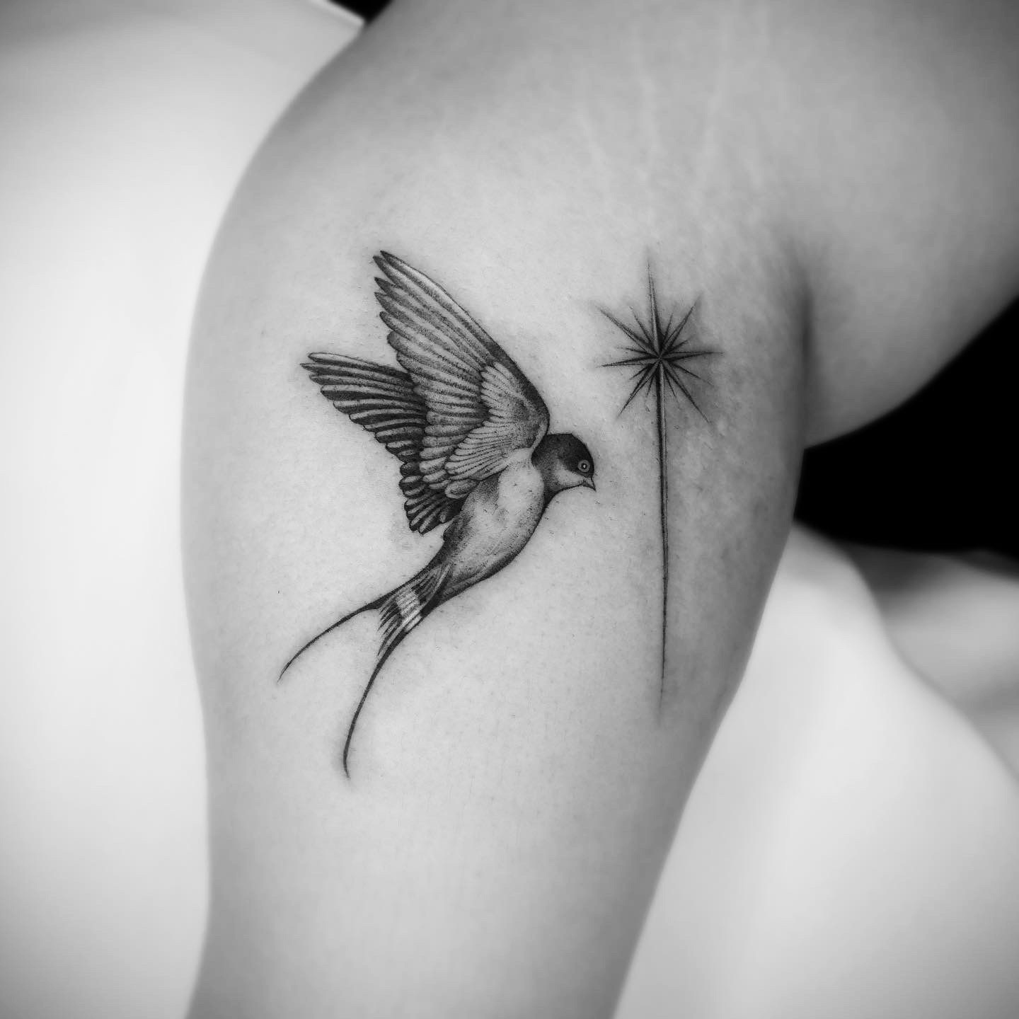 Swallow And Star - Black and Grey Tattoo by San Francisco Tattoo Artist ZKINK