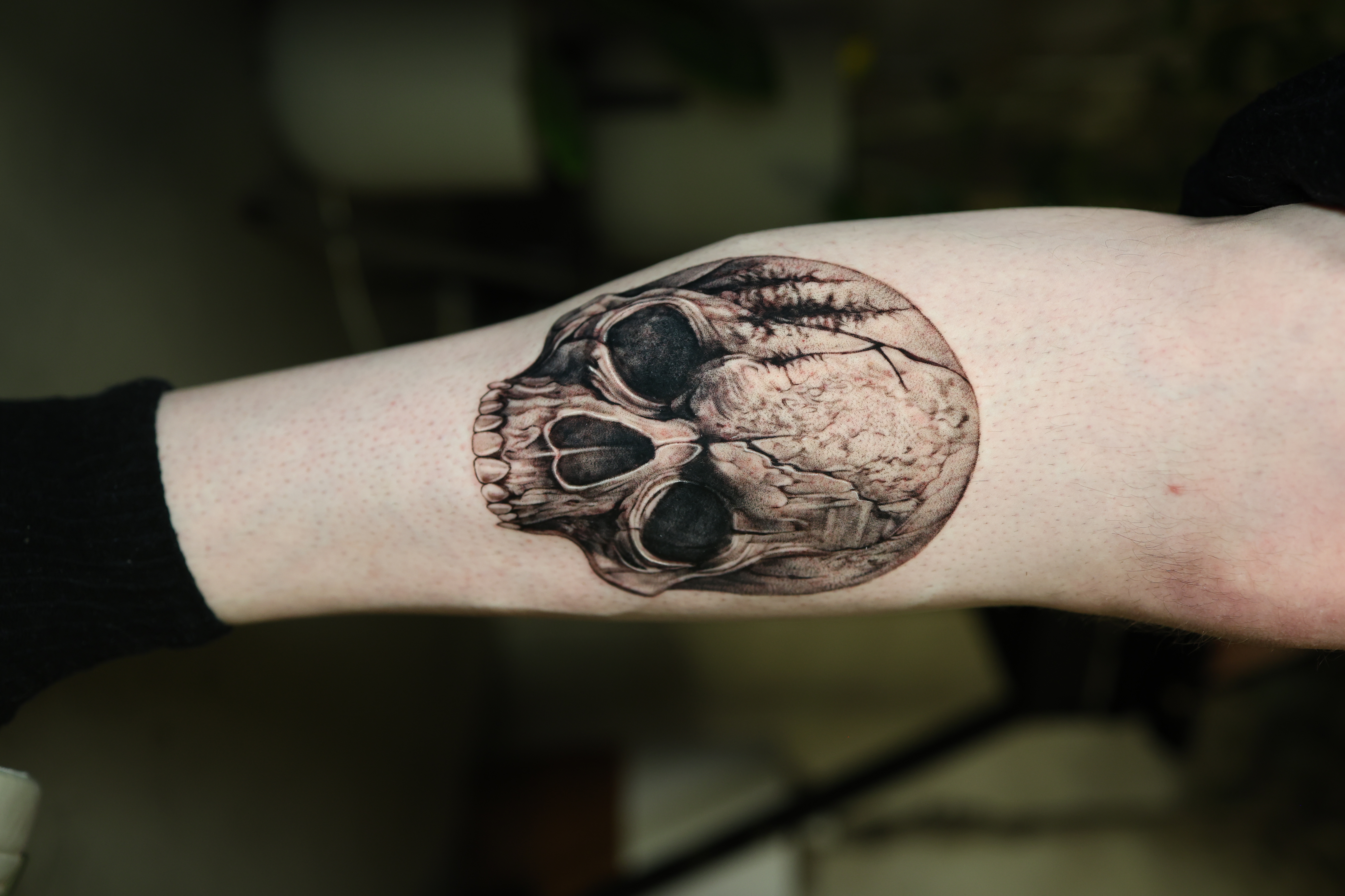 Skull - Black and Grey Tattoo by San Francisco Tattoo Artist ZKINK