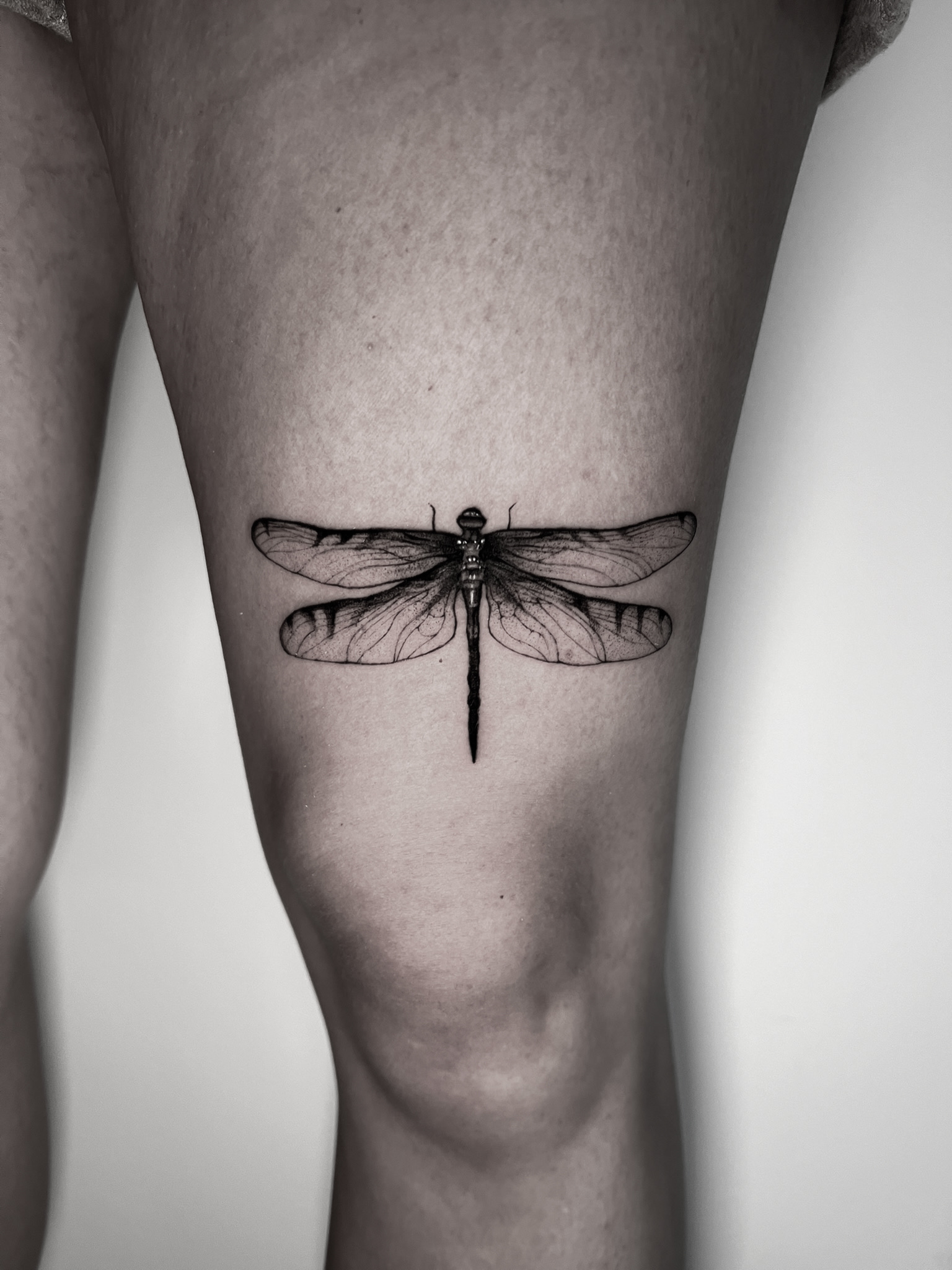 Dragonfly - Black and Grey Tattoo by San Francisco Tattoo Artist ZKINK