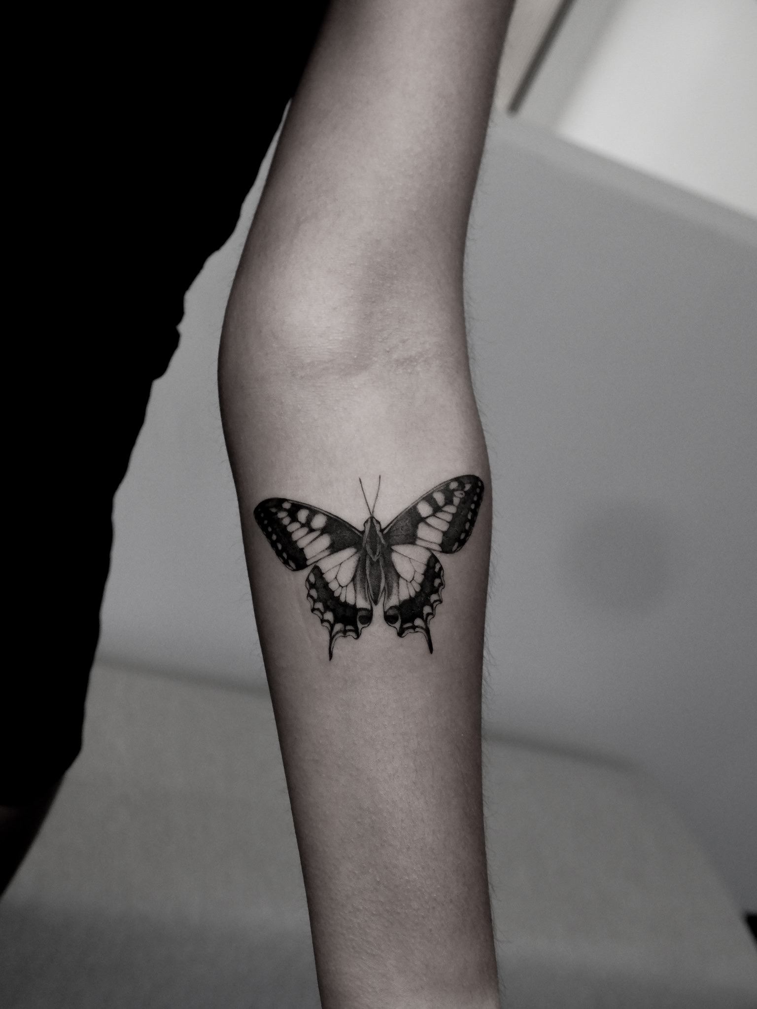 Butterfly - Black and Grey Tattoo by San Francisco Tattoo Artist ZKINK