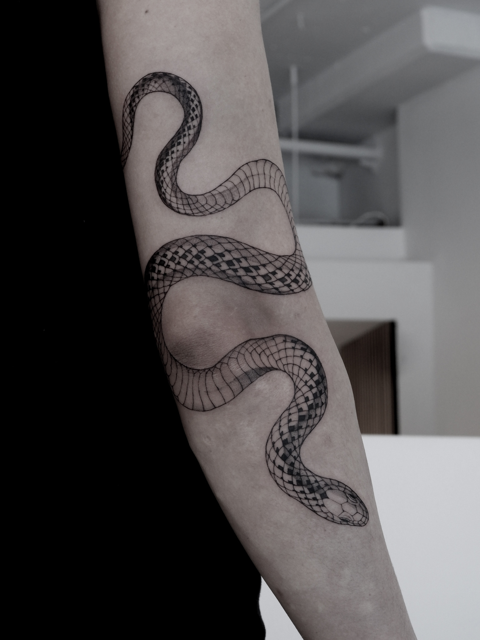 Robin Snake - Black and Grey Tattoo by San Francisco Tattoo Artist ZKINK