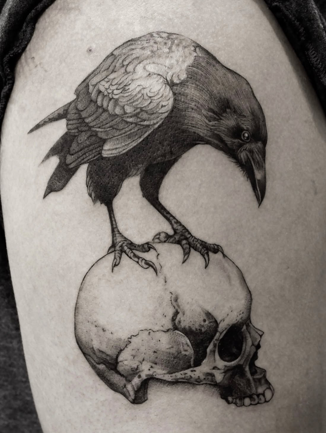 Raven and Skull
